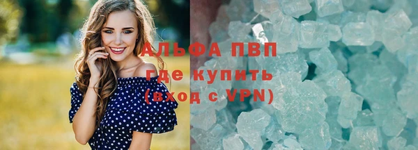 ГАЛЛЮЦИНОГЕННЫЕ ГРИБЫ Струнино