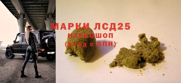ГАЛЛЮЦИНОГЕННЫЕ ГРИБЫ Струнино