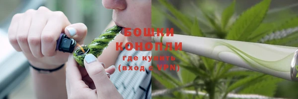 ГАЛЛЮЦИНОГЕННЫЕ ГРИБЫ Струнино