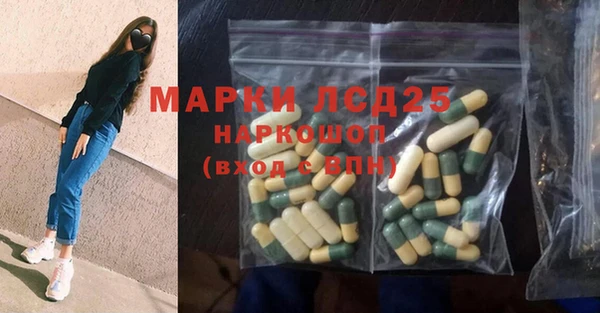ГАЛЛЮЦИНОГЕННЫЕ ГРИБЫ Струнино