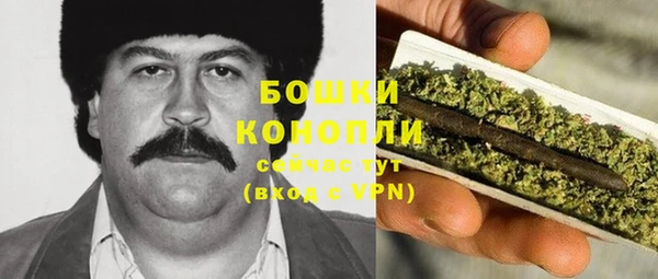 ГАЛЛЮЦИНОГЕННЫЕ ГРИБЫ Струнино
